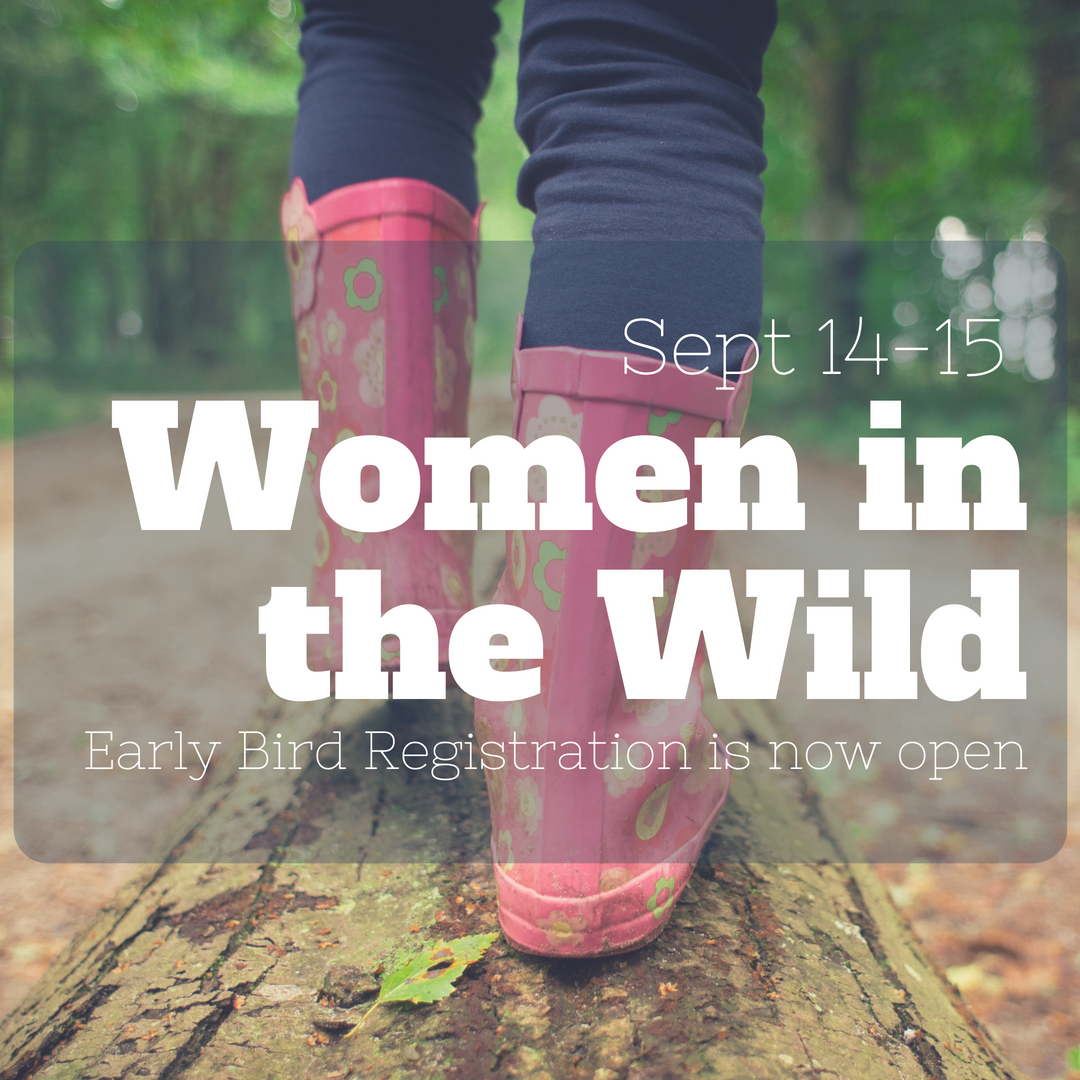 Women in the wild Plan.png