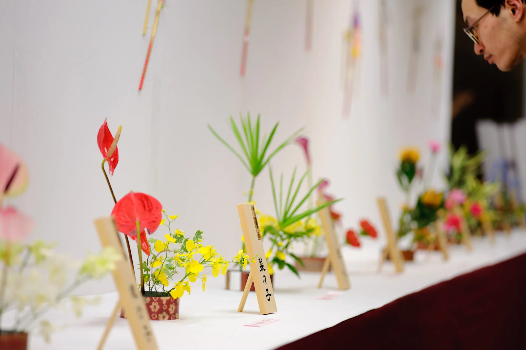 flower show.jpg