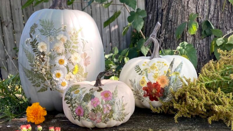 Spring+Garden+Festival+(300+x+250+px)+(1920+x+1080+px)+(22).webp