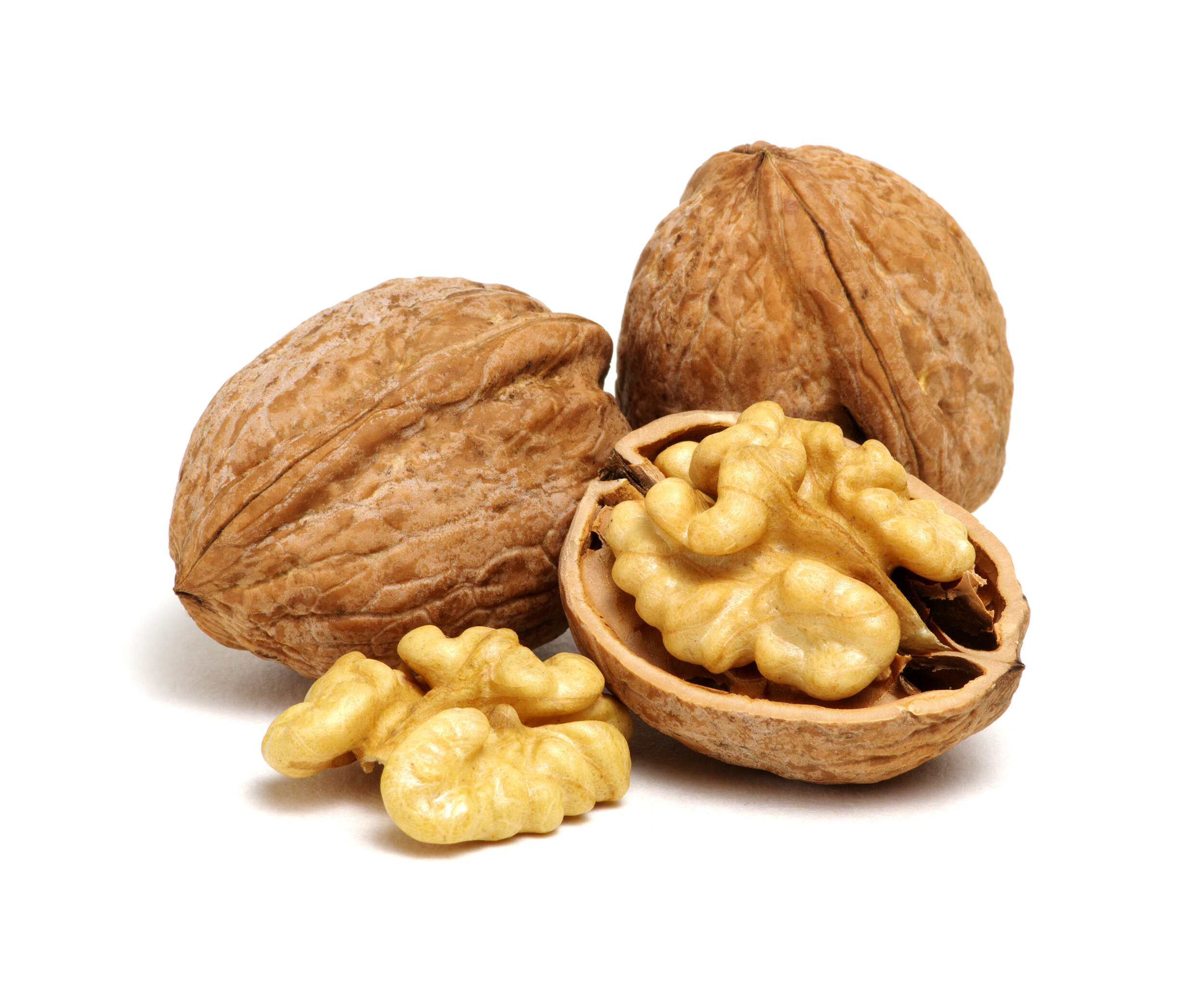 Nut Trees