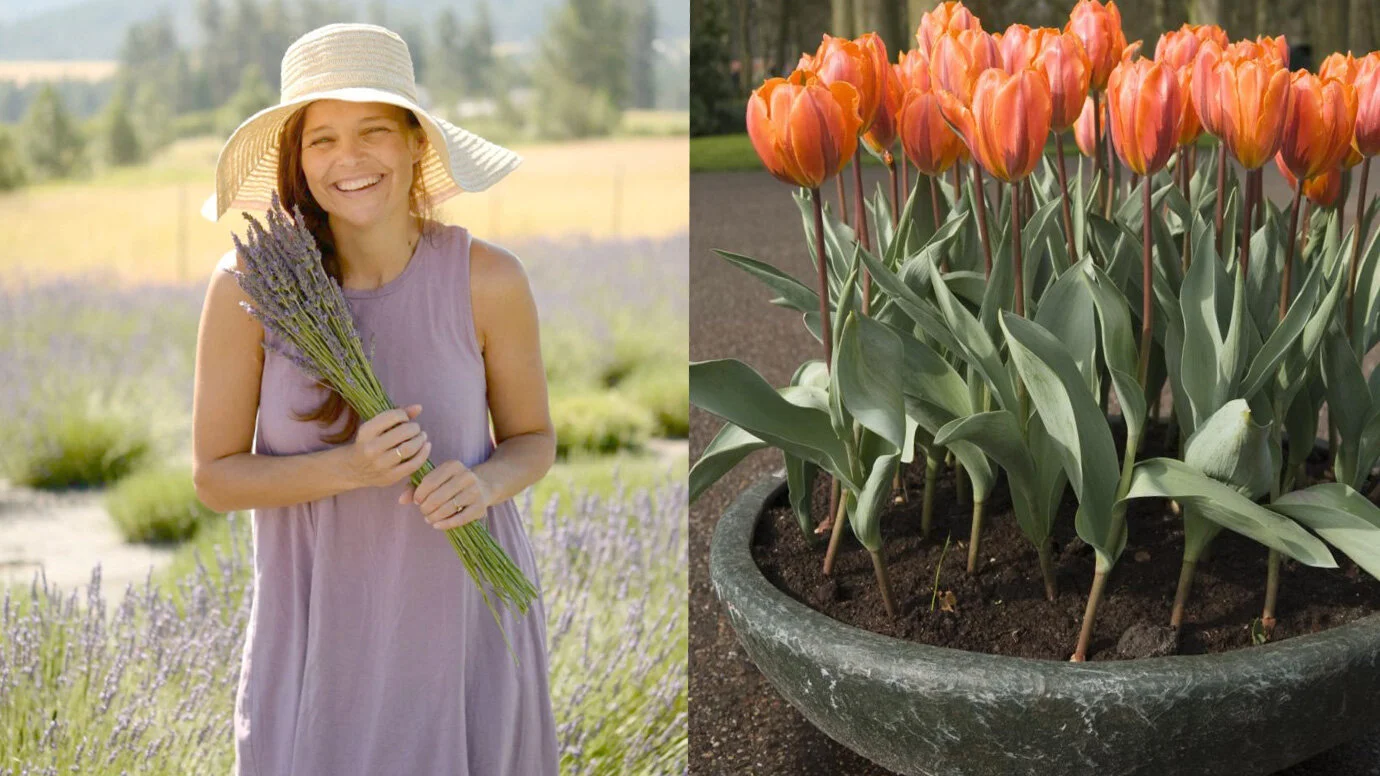 Fall Bulb Planting How-To with Cassie Hardy