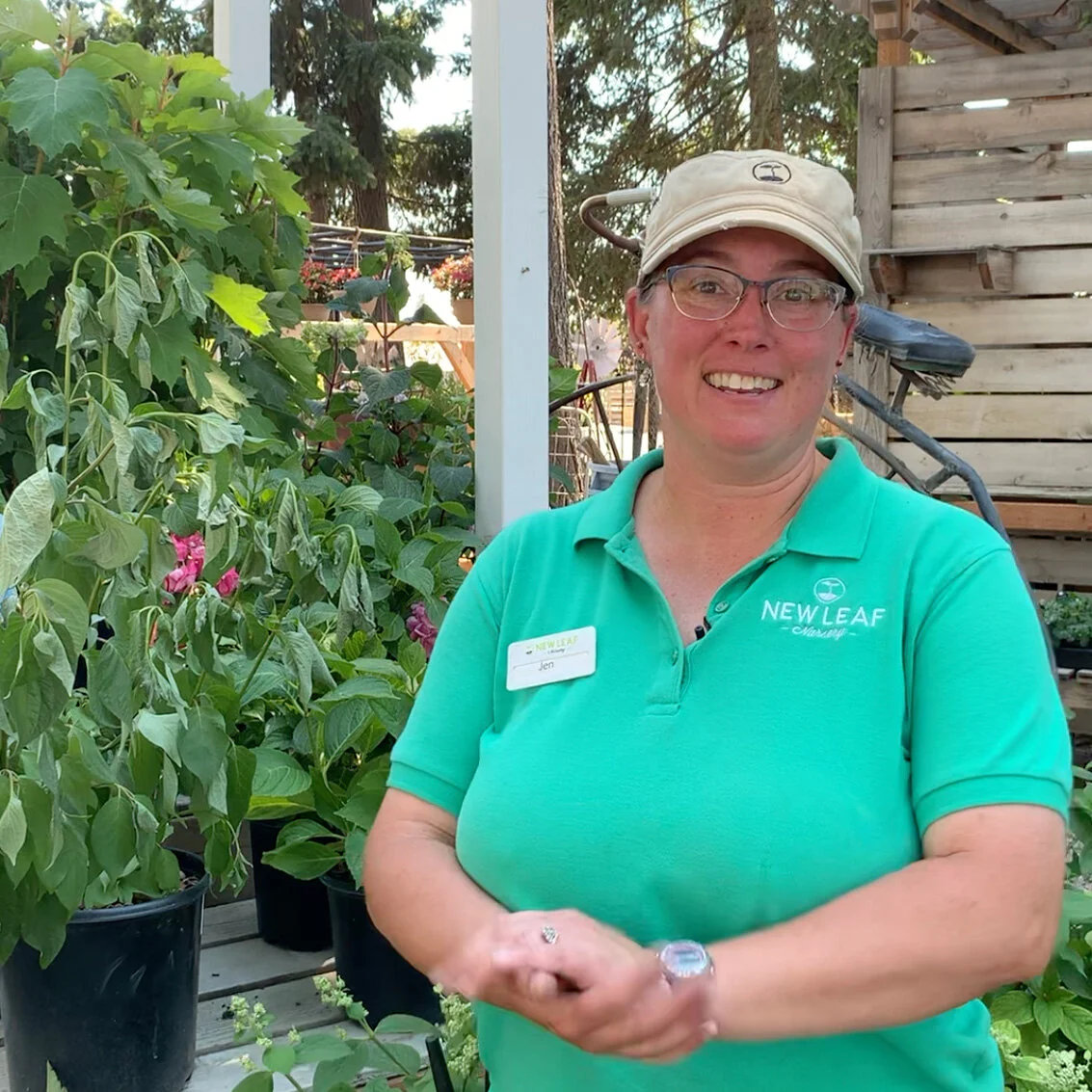 New Leaf Nursery Your Neighborhood Garden