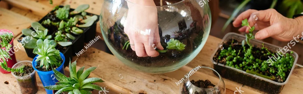 stock-photo-women-s-hobby-girl-nerd-florist-make-a-mini-terrarium-with-house-plants-766339792.jpg