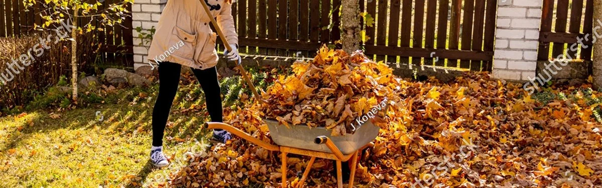 stock-photo-young-woman-having-fun-throwing-while-cleaning-fallen-maple-autumn-leaves-in-the-garden-2192847927.jpg