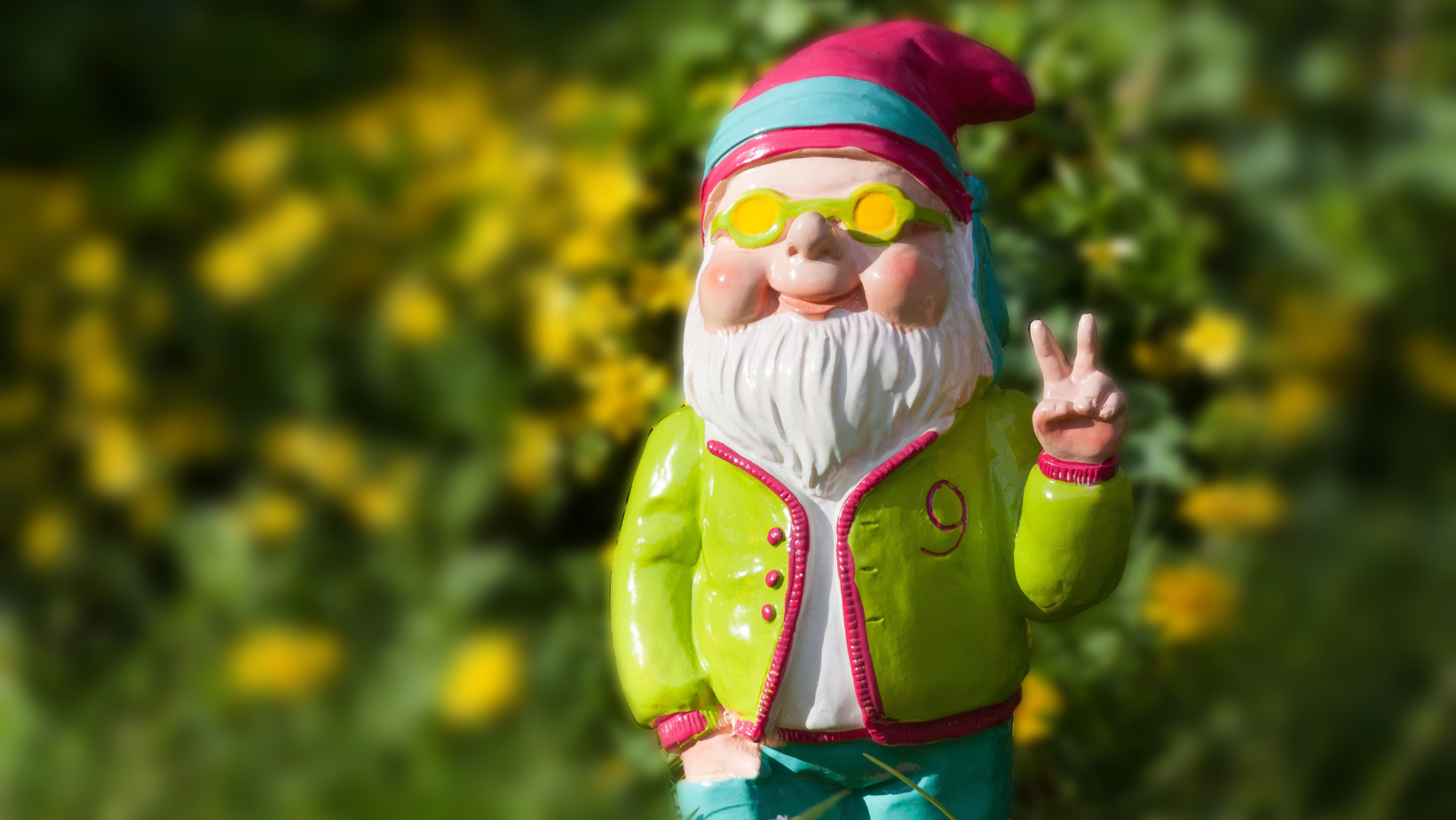 So You Want to Grow Your Own Veg?