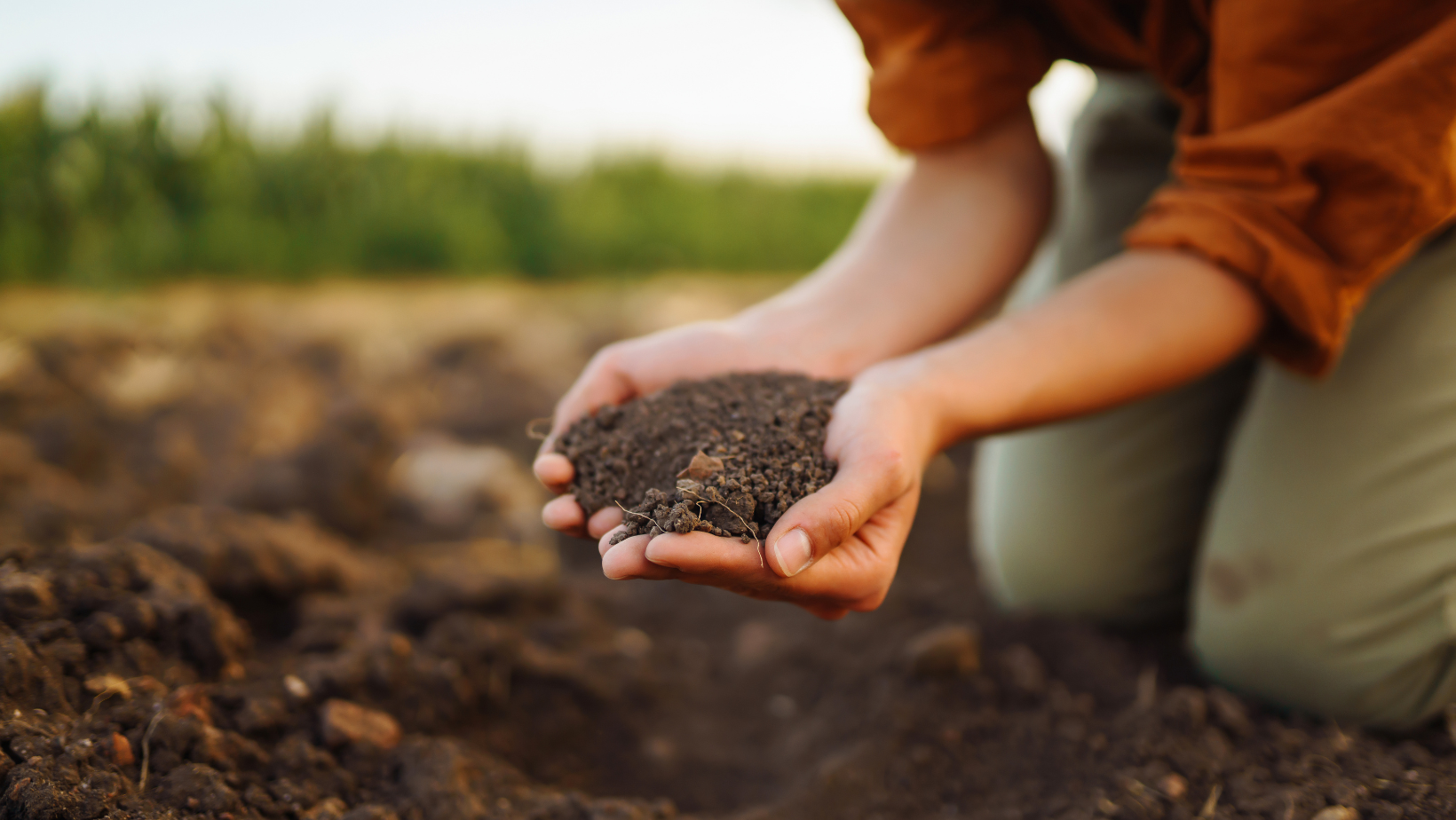 Give Me All the Dirt!