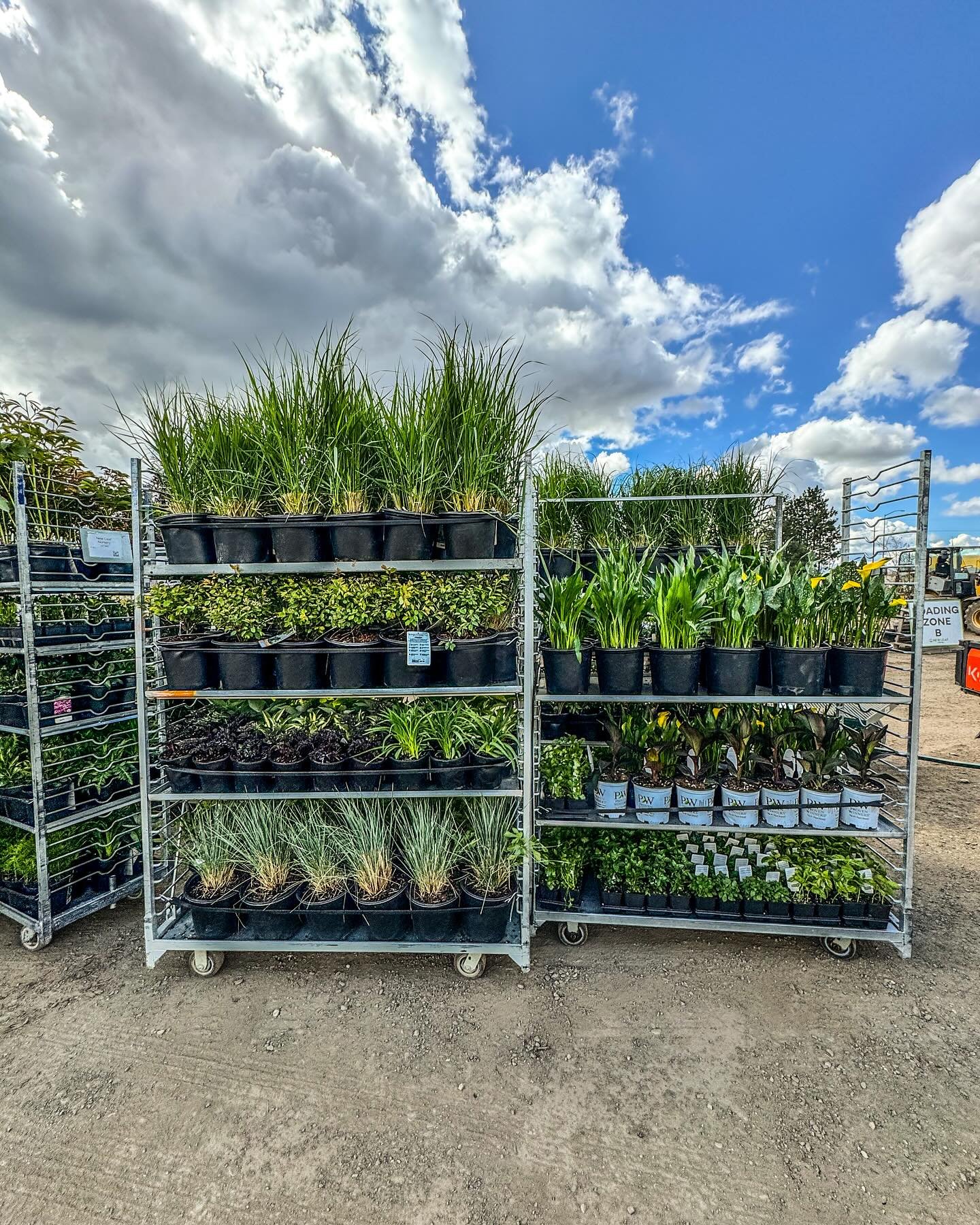 🌱 Fresh deliveries are the best deliveries!

We are receiving trucks nearly every day now, loaded with gorgeous flowers and plants. Come on in to see what&rsquo;s new at the nursery!