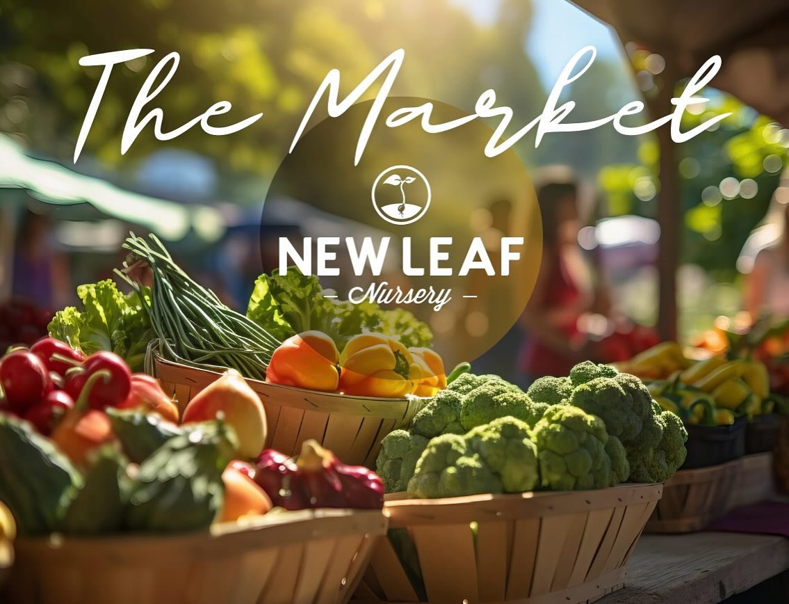📣 WE&rsquo;VE GOT EXCITING NEWS!

In our continuous commitment to supporting our local small businesses and farming communities, we are thrilled to announce a new way to connect with fresh, locally sourced goods!

Introducing THE MARKET at New Leaf 