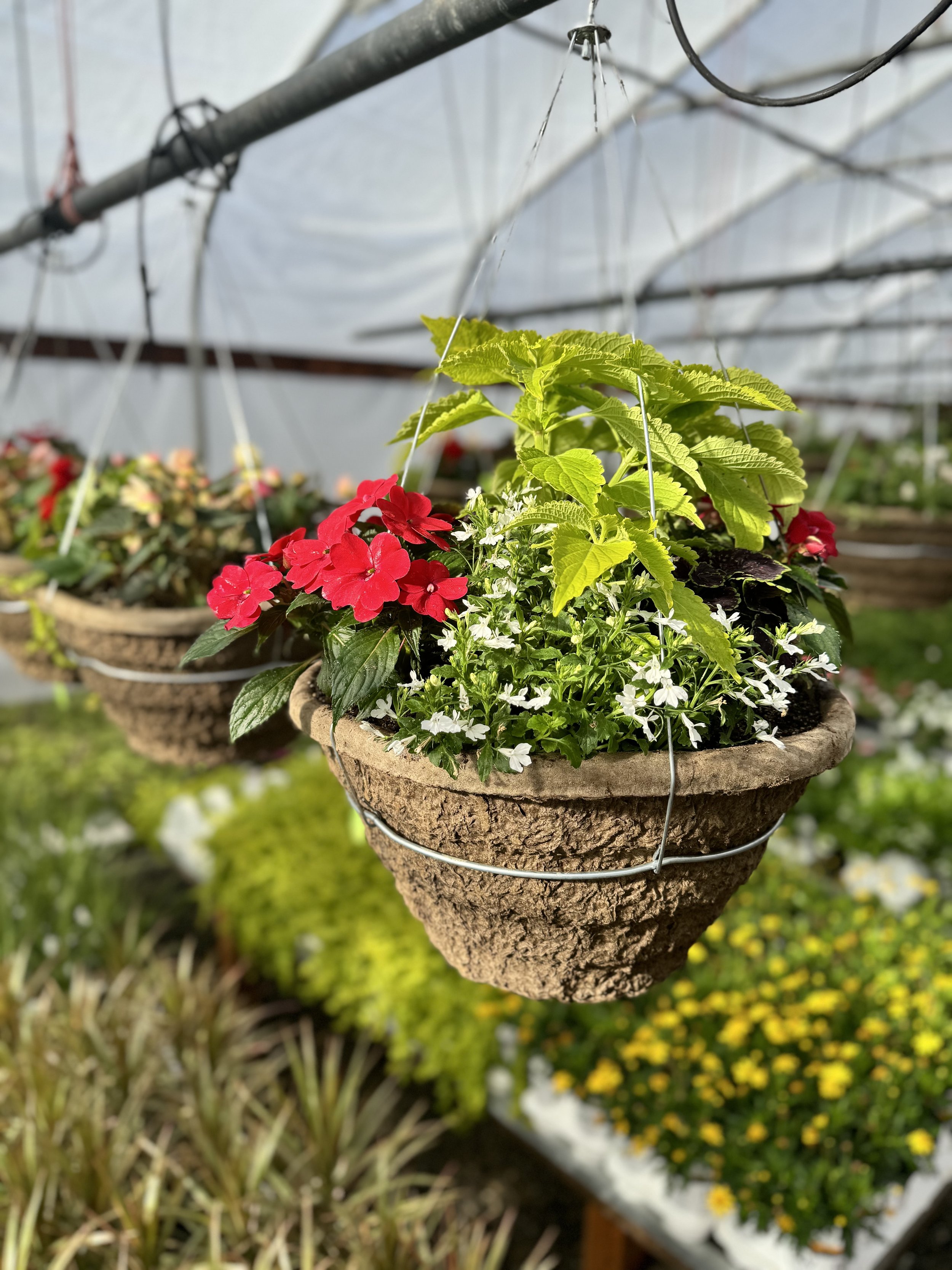             ELEVATE YOUR OUTDOORS   HANGING FLOWER BASKETS NOW AVAILABLE! 
