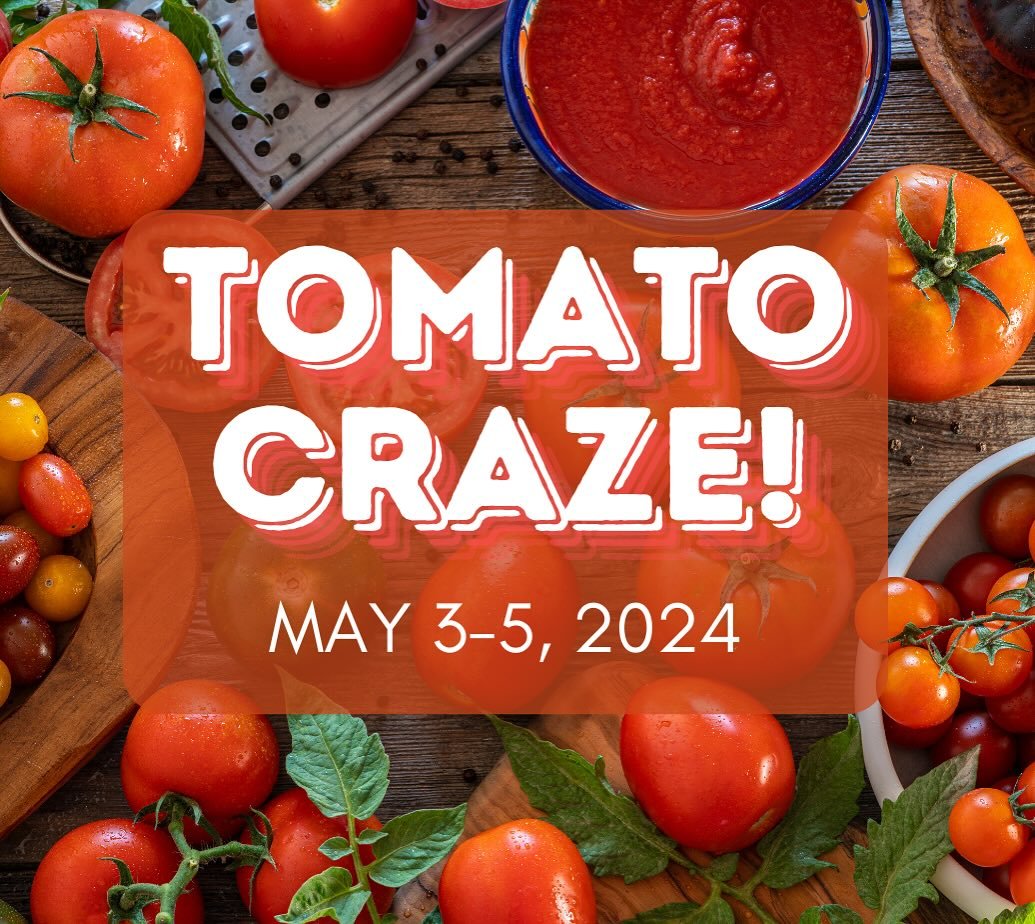 🍅TOMATO CRAZE starts today!

Join us today through Sunday where we will dive into all things TOMATOES! On Saturday, May 4th, New Leaf plant expert, Brianna, will be available from 11:30 AM-1:30 PM to answer your questions about growing tomatoes, and