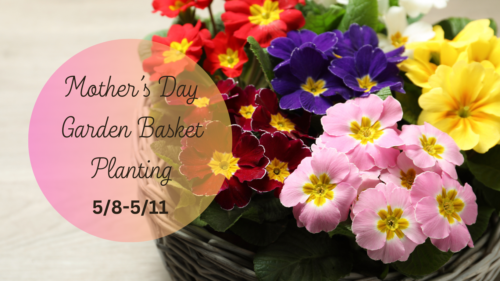 MOTHER’S DAY GARDEN BASKET PLANTING-2.png