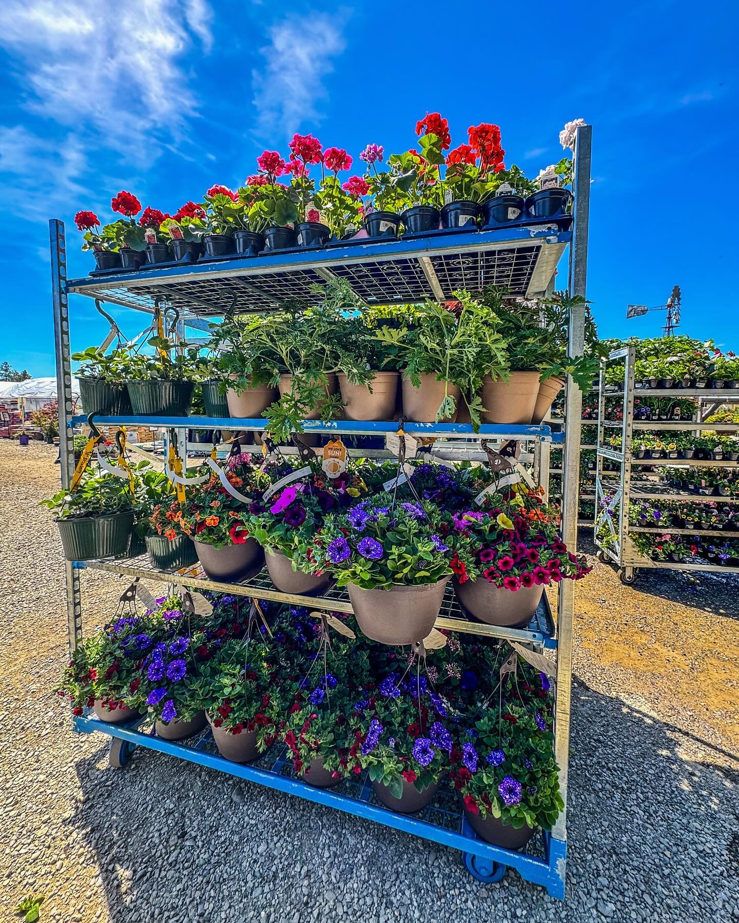 💐 Fresh flowers are arriving every day now at the Nursery. And just in time for Mother&rsquo;s Day!

Look how beautiful those flower baskets are! If you think we&rsquo;ve got a great selection now, just wait until you see what&rsquo;s coming in toda