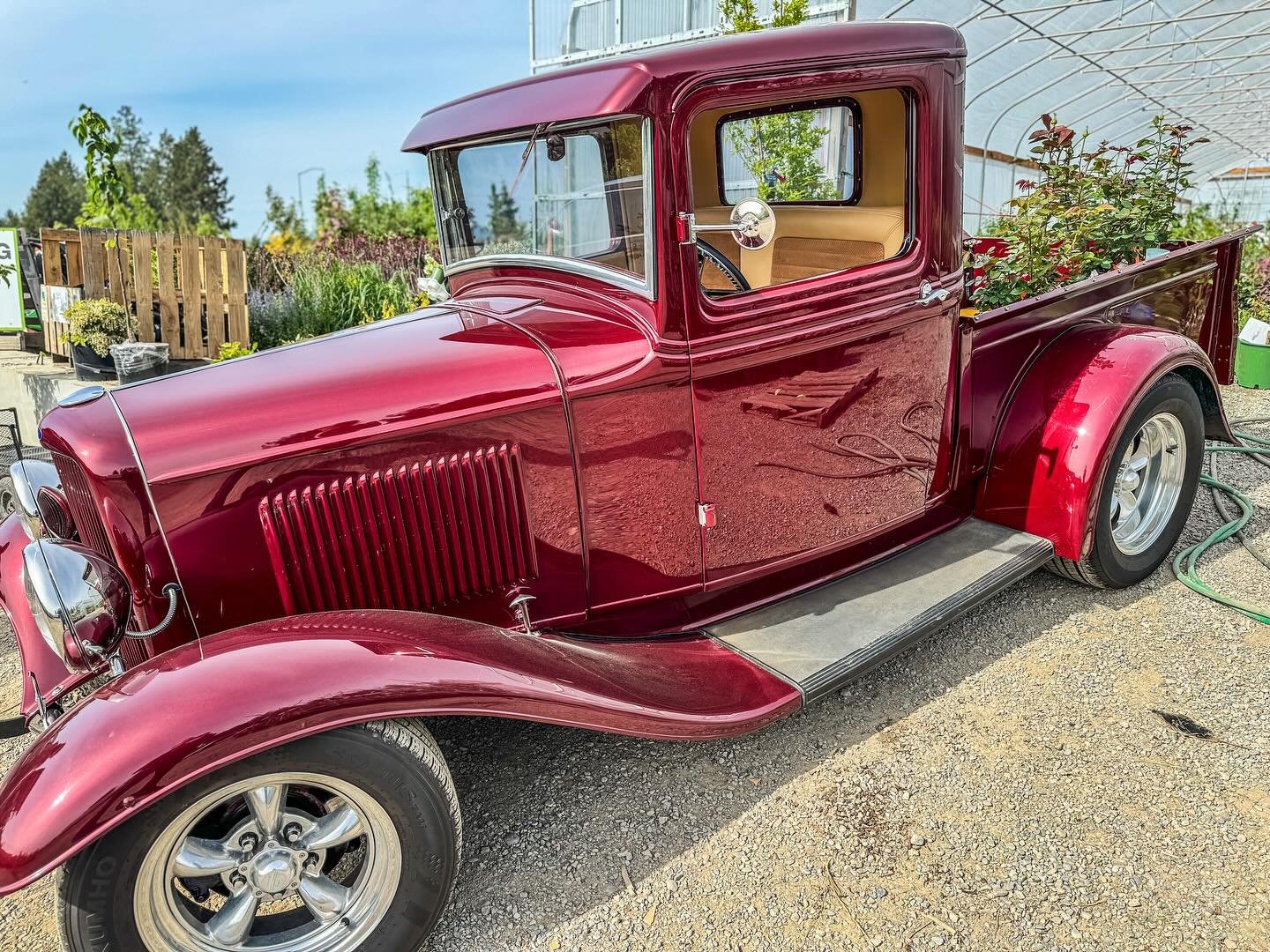 Today is the day you&rsquo;ve all been waiting for! 😀

Get out your Cherry Red Ford and get on into the nursery to pick up your fruit trees and roses! 🍒 🌹