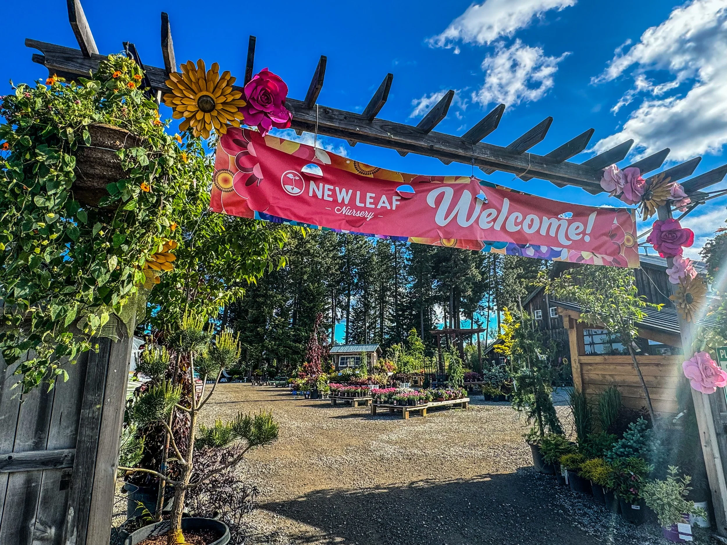 CELEBRATING SUMMER'S RETURN