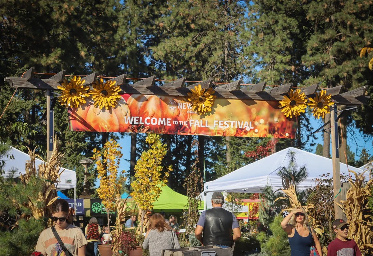 Did Someone Say Fall Festival?