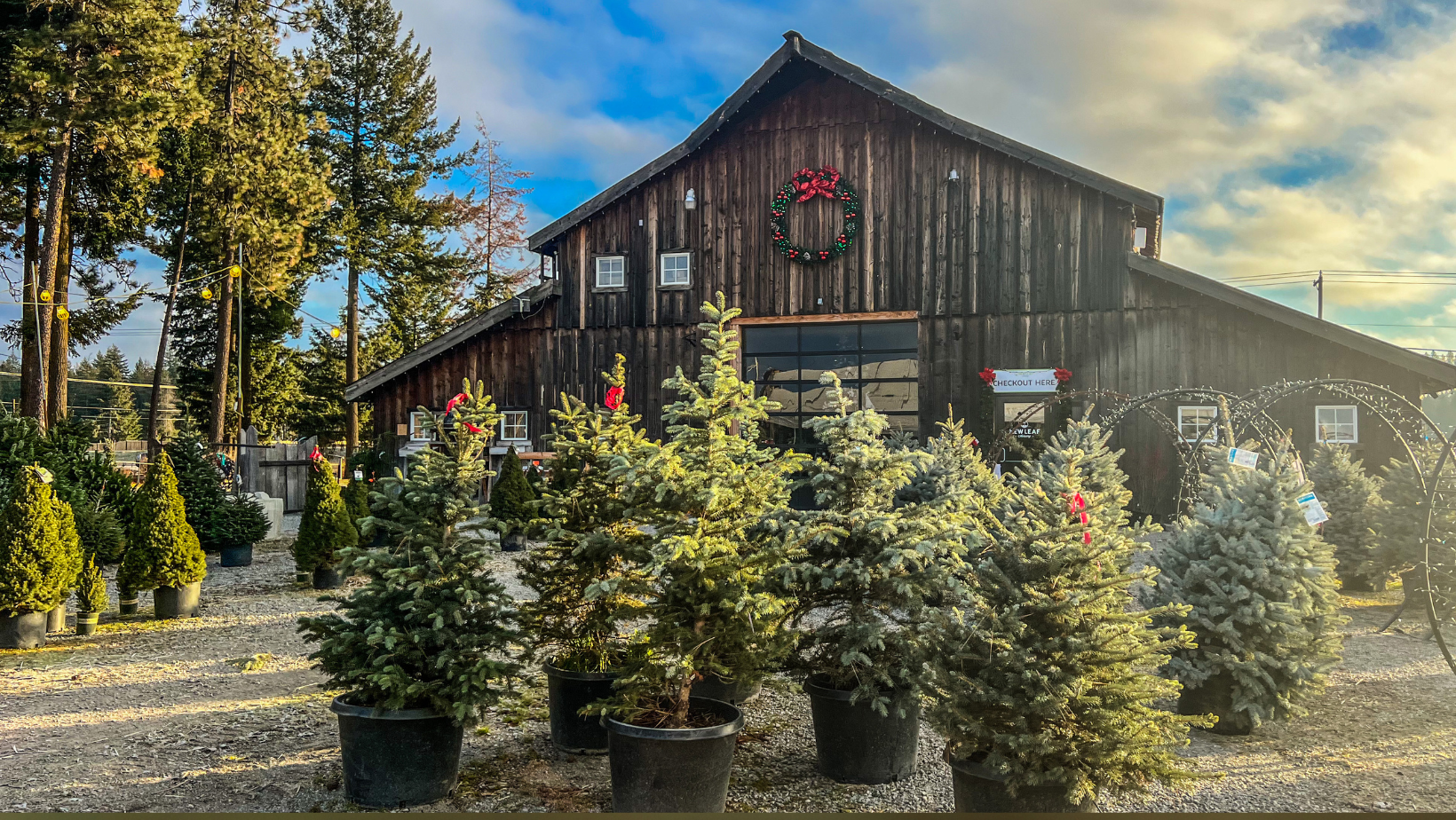 Community Holidays at New Leaf