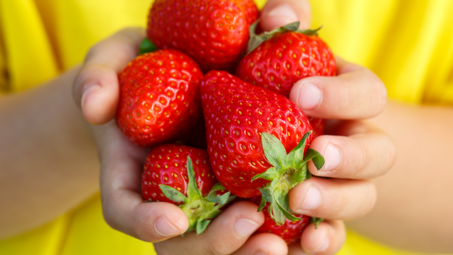 Strawberry Fields Forever