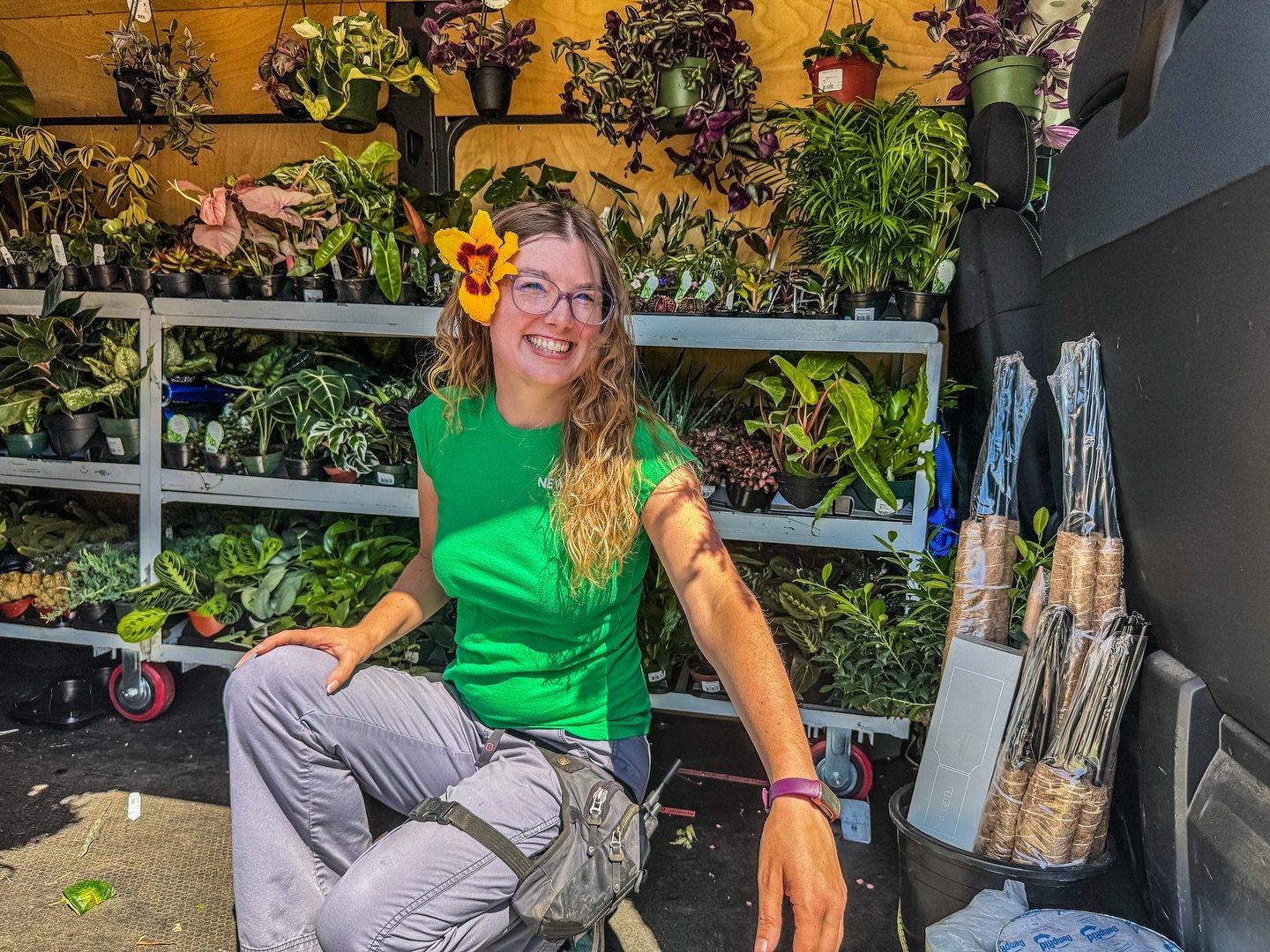 🪴 When our houseplants roll up (literally), we can&rsquo;t help but indulge in unique and fun varieties! 

We&rsquo;ve just received a fresh batch of rare and quirky plants that you won&rsquo;t want to miss. Take advantage of the cooler weather toda