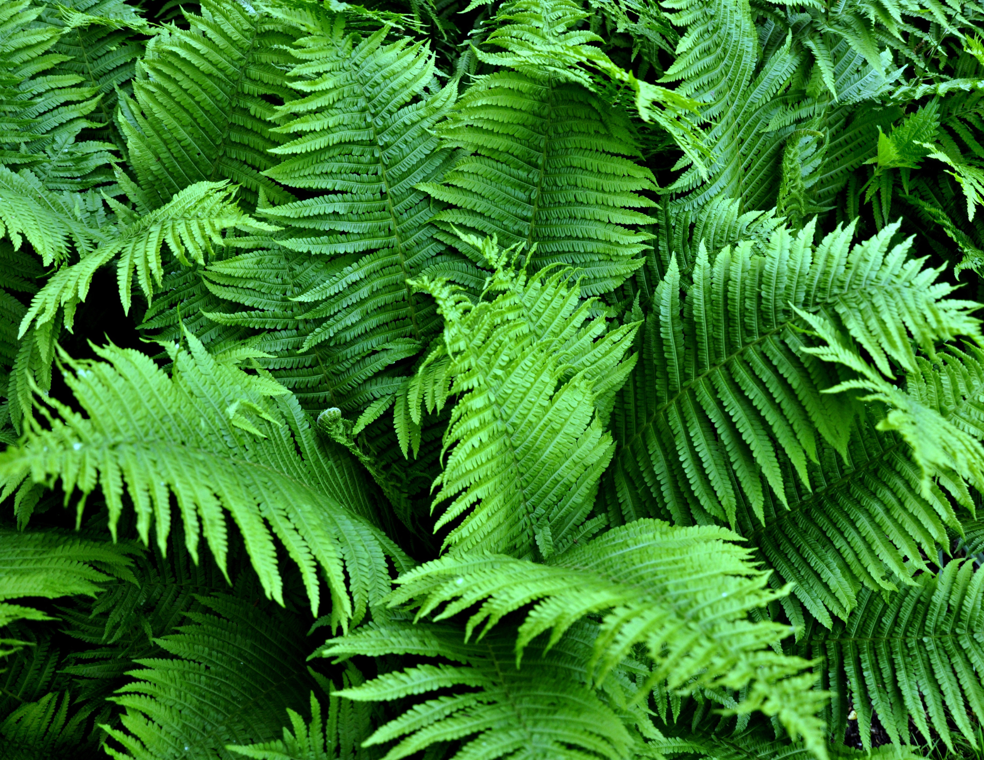 c02e2e88-1af9-9041-3a1d-0c72801ce271.png