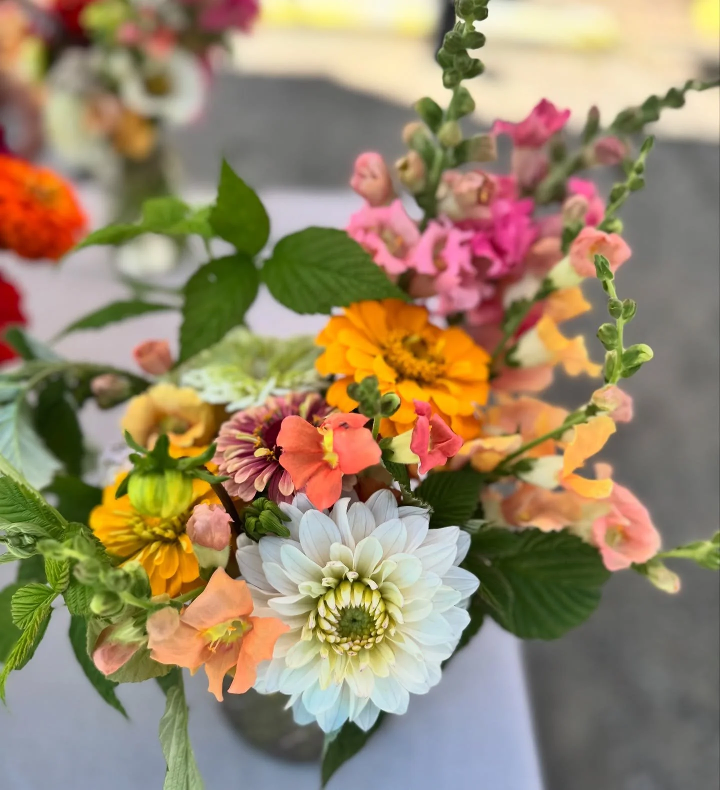 ☀️ Sunshine, good vibes, great people and locally grown goodness&hellip; that&rsquo;s what you&rsquo;ll find every Tuesday at The Farmstand at New Leaf Nursery! 🌿

Join us from 2&ndash;5PM to shop the best of what our amazing local farmers and maker