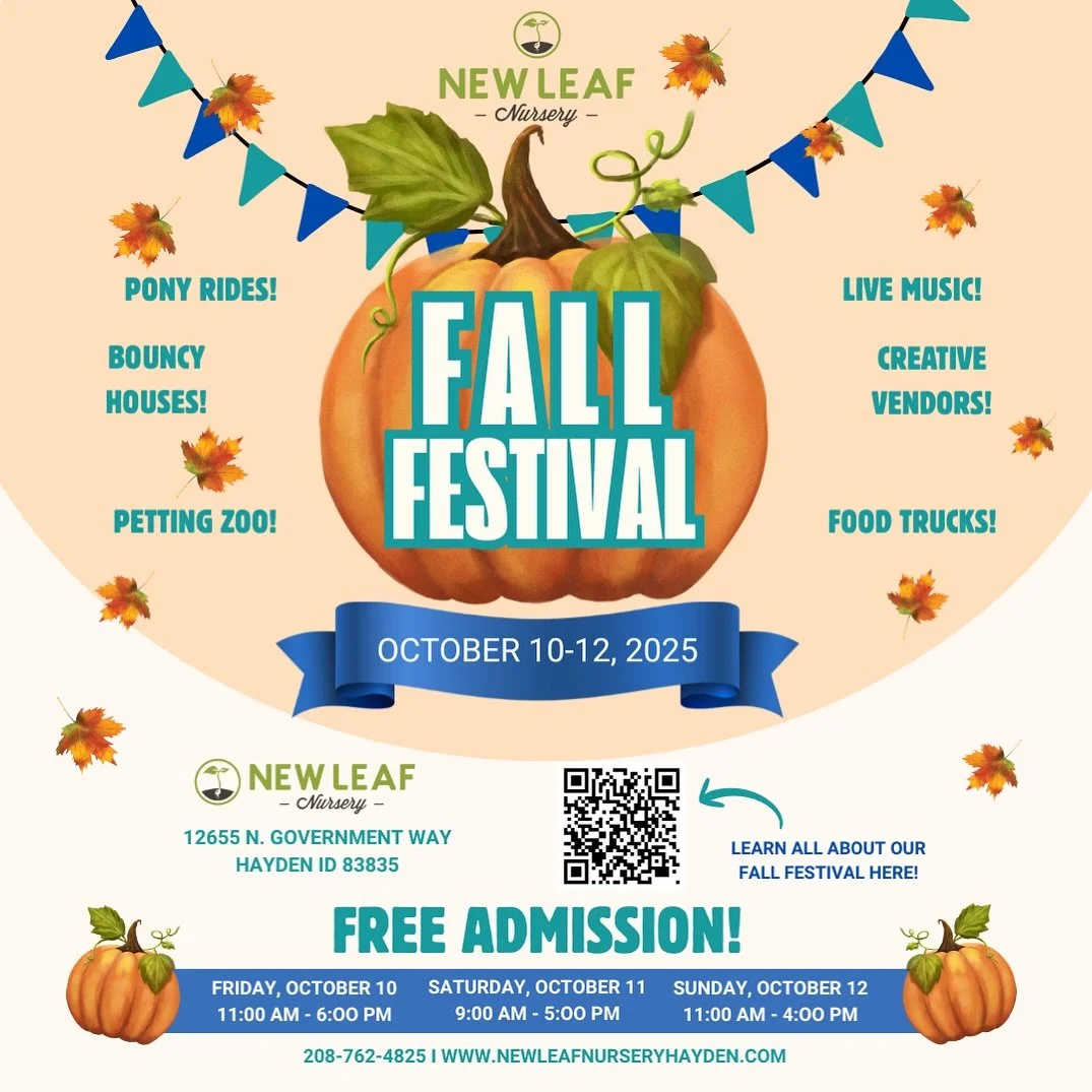 🍁✨ The countdown is ON &mdash; we&rsquo;re just 10 days away from our Annual Fall Festival at New Leaf Nursery! ✨🍁

Join us October 10-12 as we celebrate 10 incredible years of fall fun, community, and tradition with our biggest festival yet &mdash