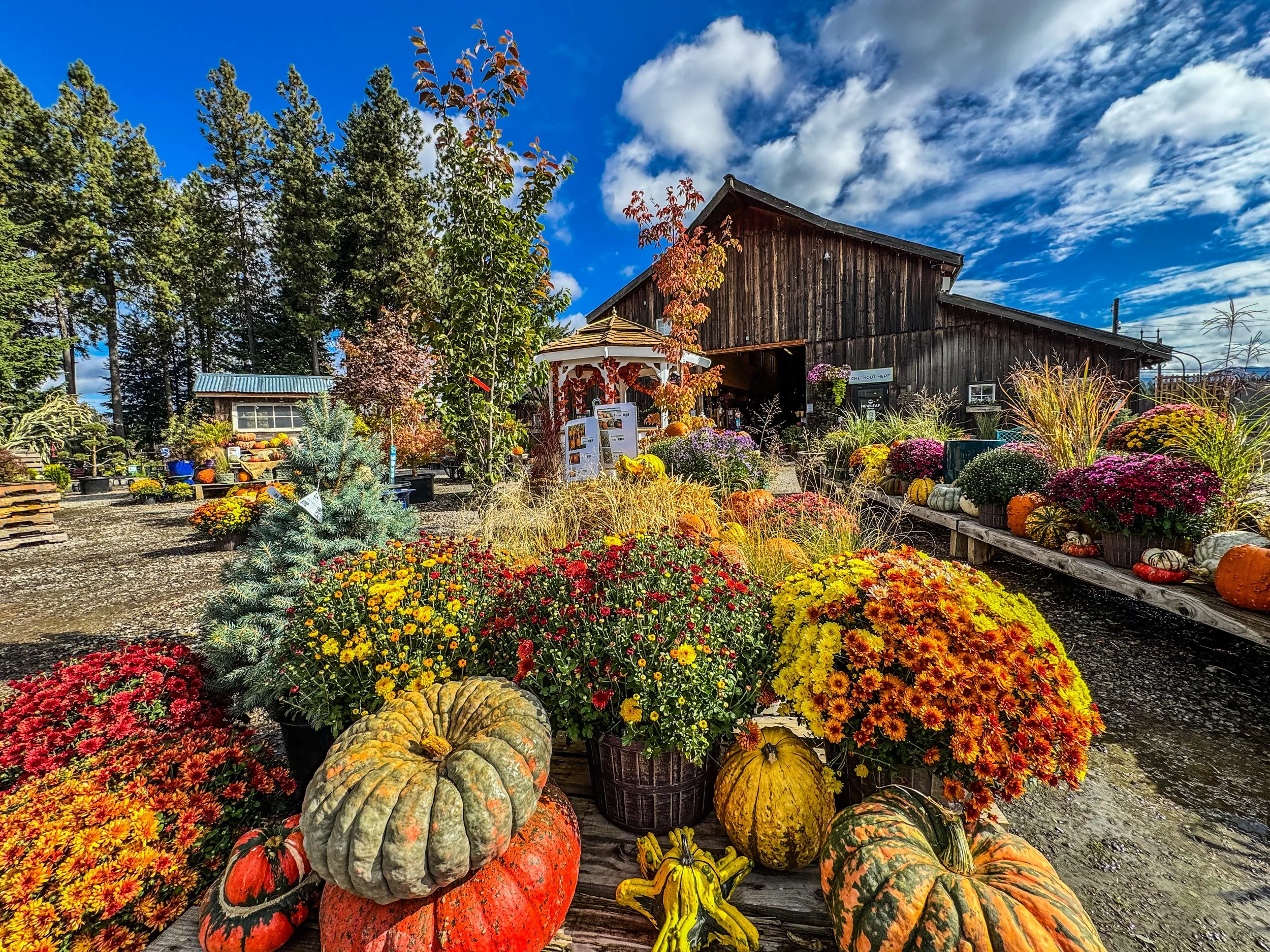   FALL IS IN THE AIR AT NEW LEAF  