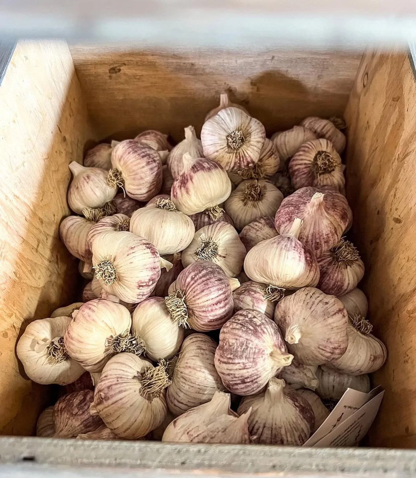 🧄 Great News, Garlic Lovers! 🧄

We&rsquo;re getting another shipment of fresh garlic tomorrow &mdash; just in time for our Garlic Tasting Class with none other than Snow Valley&rsquo;s Garlic Queen, Nina Messner!

If you&rsquo;ve been wanting to jo