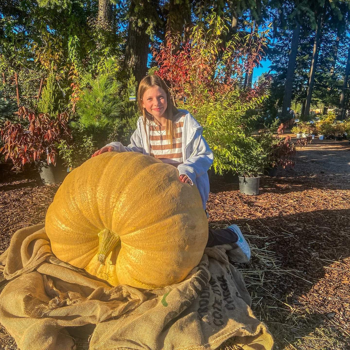 🎉 WE&rsquo;VE GOT A WINNER! 🎃

If you came to our Fall Festival, you definitely spotted the giant pumpkin on display &mdash; and maybe even took your best guess at its weight!

🏆 Well&hellip; the results are in and we have a champion!
With an incr