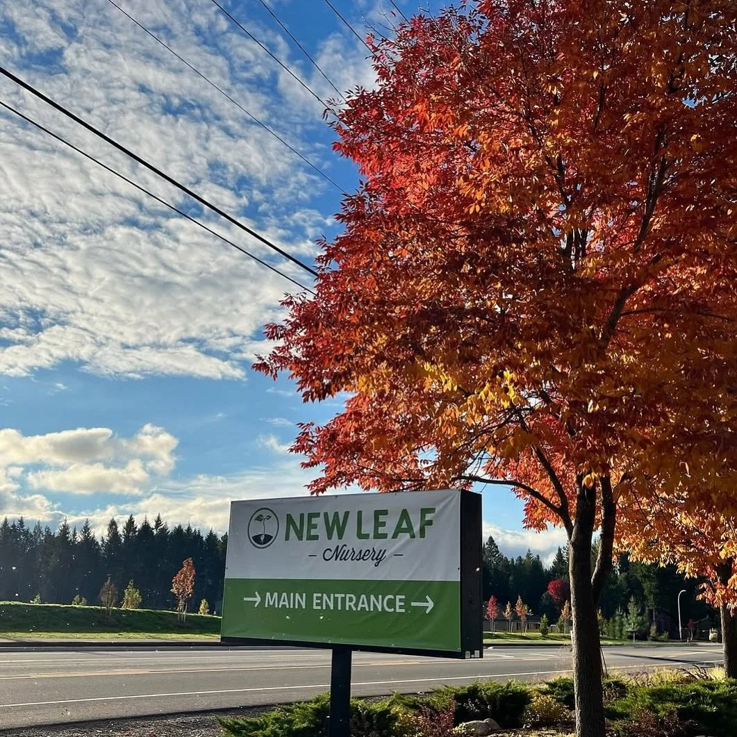 π Fall Hours Update! π
As the days get shorter and the air turns crisp, we’re adjusting our schedule for the season.
We’ll now be closed on Sundays for the time being — but don’t worry! You can still visit us Monday throug