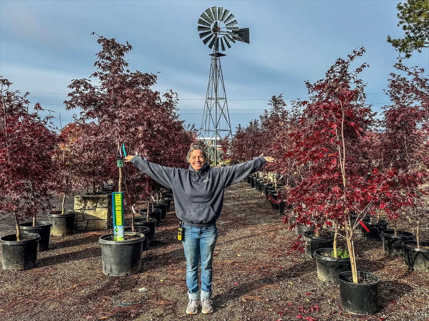 The Season’s Not Over Yet! π² 
There’s still time to grab some incredible deals before the season wraps up — and it’s still a great time to plant!
We’ve got a beautiful selection of trees, shrubs, and plants waiting fo