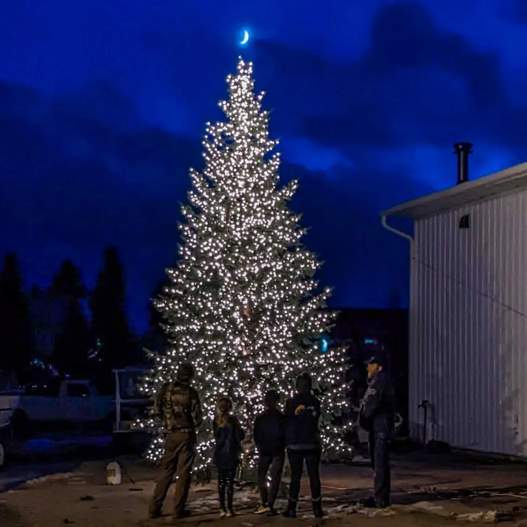 πLooking for a Christmas tree that really makes a statement?
We can custom order trees from 10–20 ft tall to bring holiday magic into your home — whether you’re dreaming of a classic fir or a perfectly shaped pine, we’ll hel