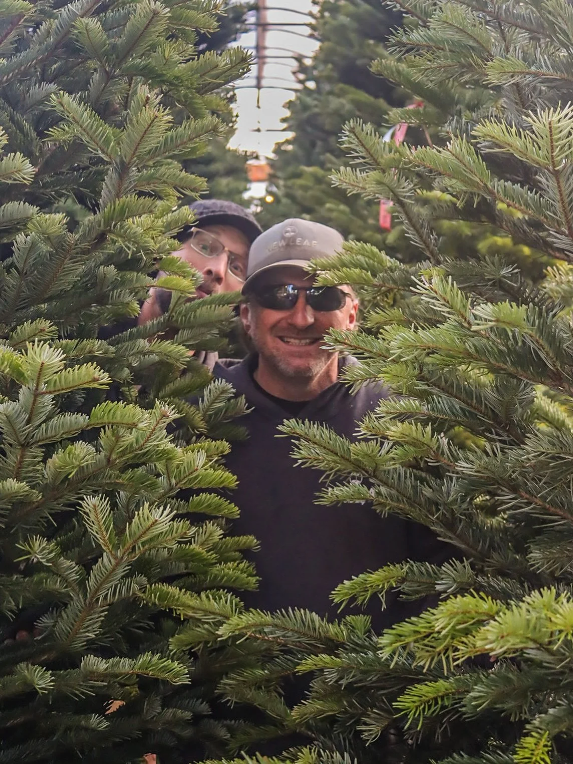 🎄✨ Mark your calendars! Our Christmas tree lot at the Nursery will be open for the season Thanksgiving week.

We will offer fresh cut trees from the Pacific Northwest in various heights and shapes. And yes, we really do have spinning Christmas trees