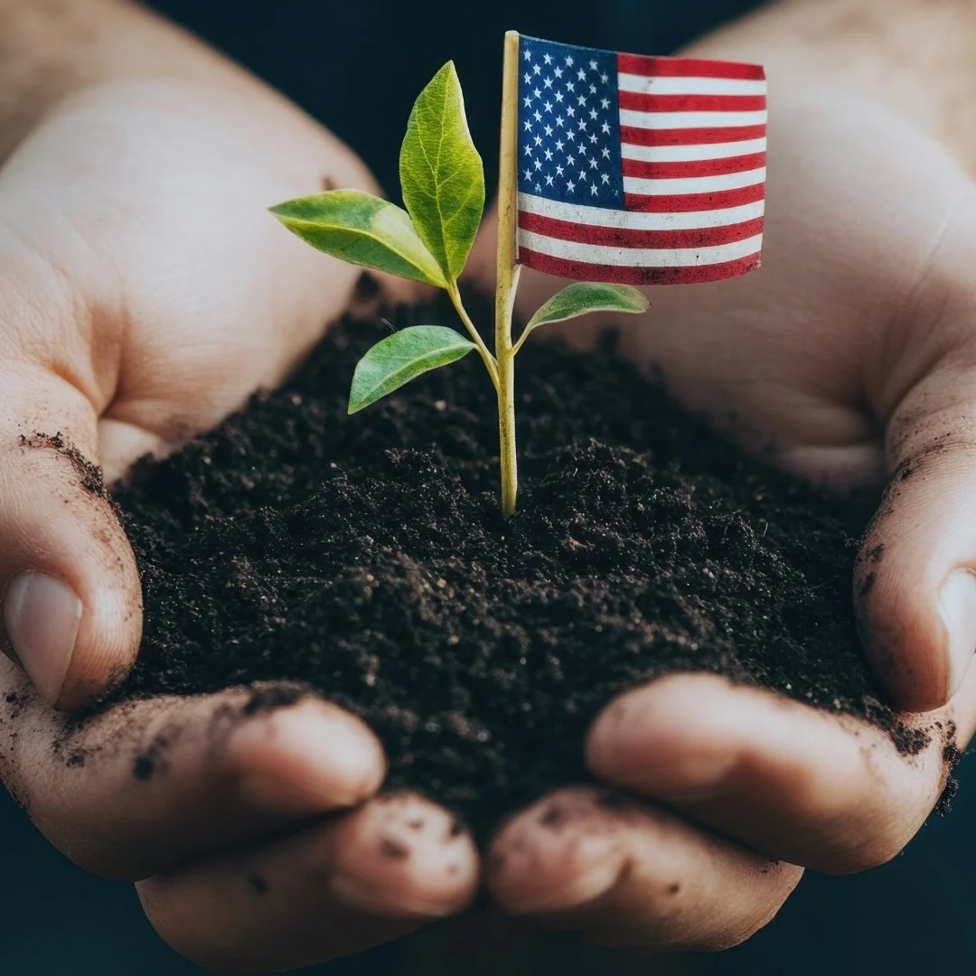 🌳 Like the strongest roots that hold a tree steady through every season, our veterans remind us of the strength and resilience that keep our communities grounded.

We&rsquo;re proud to stand among heroes &mdash; today and every day, we honor and tha