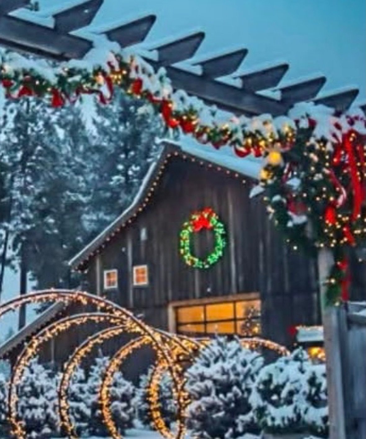 ✨ Looking For A New Holiday Tradition? ✨

Join us for some holiday magic this Saturday from 12&ndash;6 PM at New Leaf Nursery! ❄️🎄

Enjoy sleigh rides, Santa, great food and wine, festive shopping, and of course&mdash;beautiful wreaths, garlands, an
