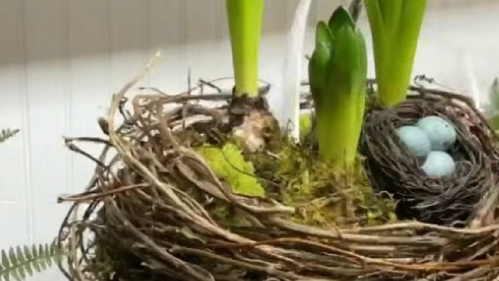 Spring Bird's Nest Arrangement