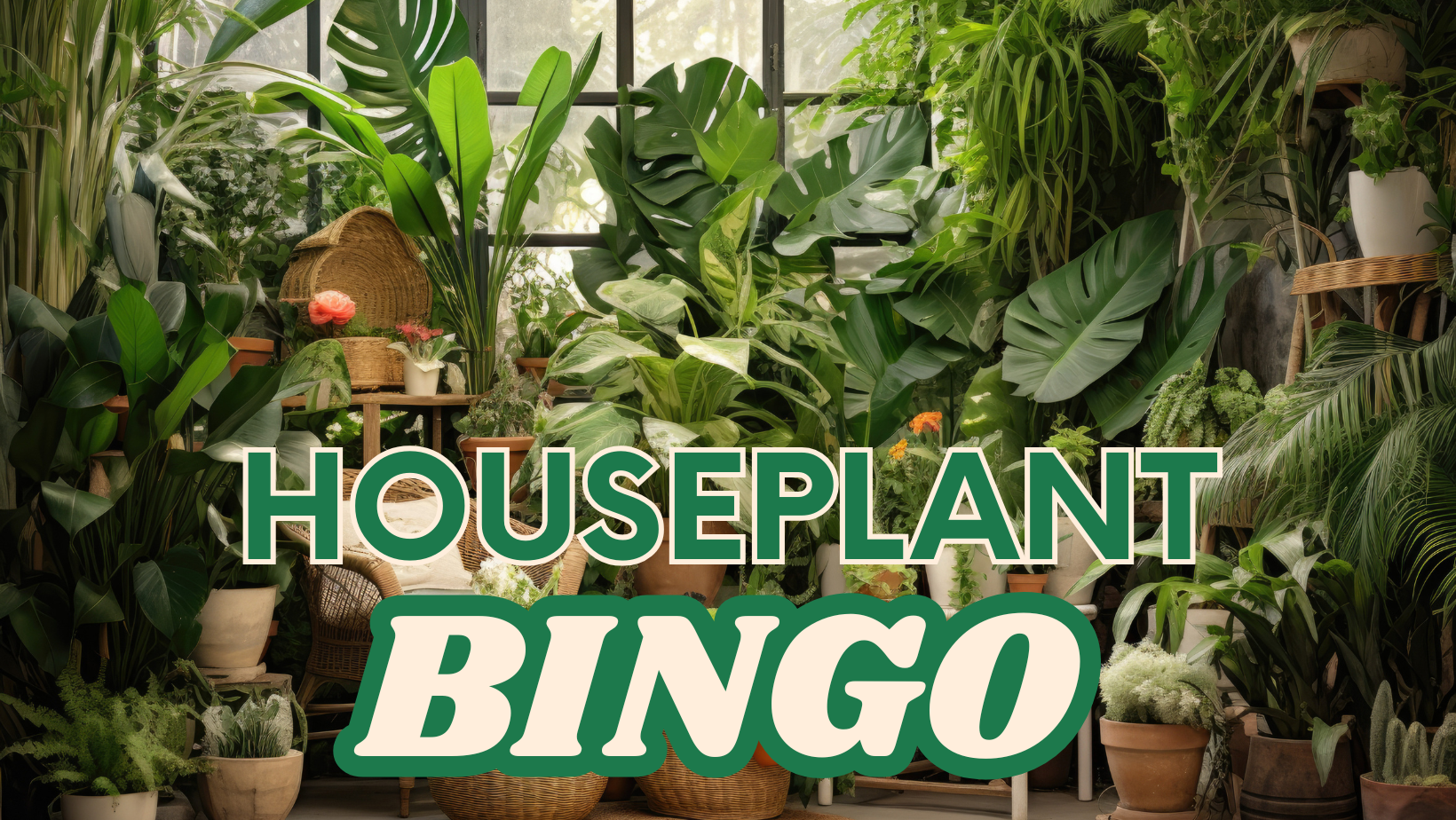 Houseplant Bingo