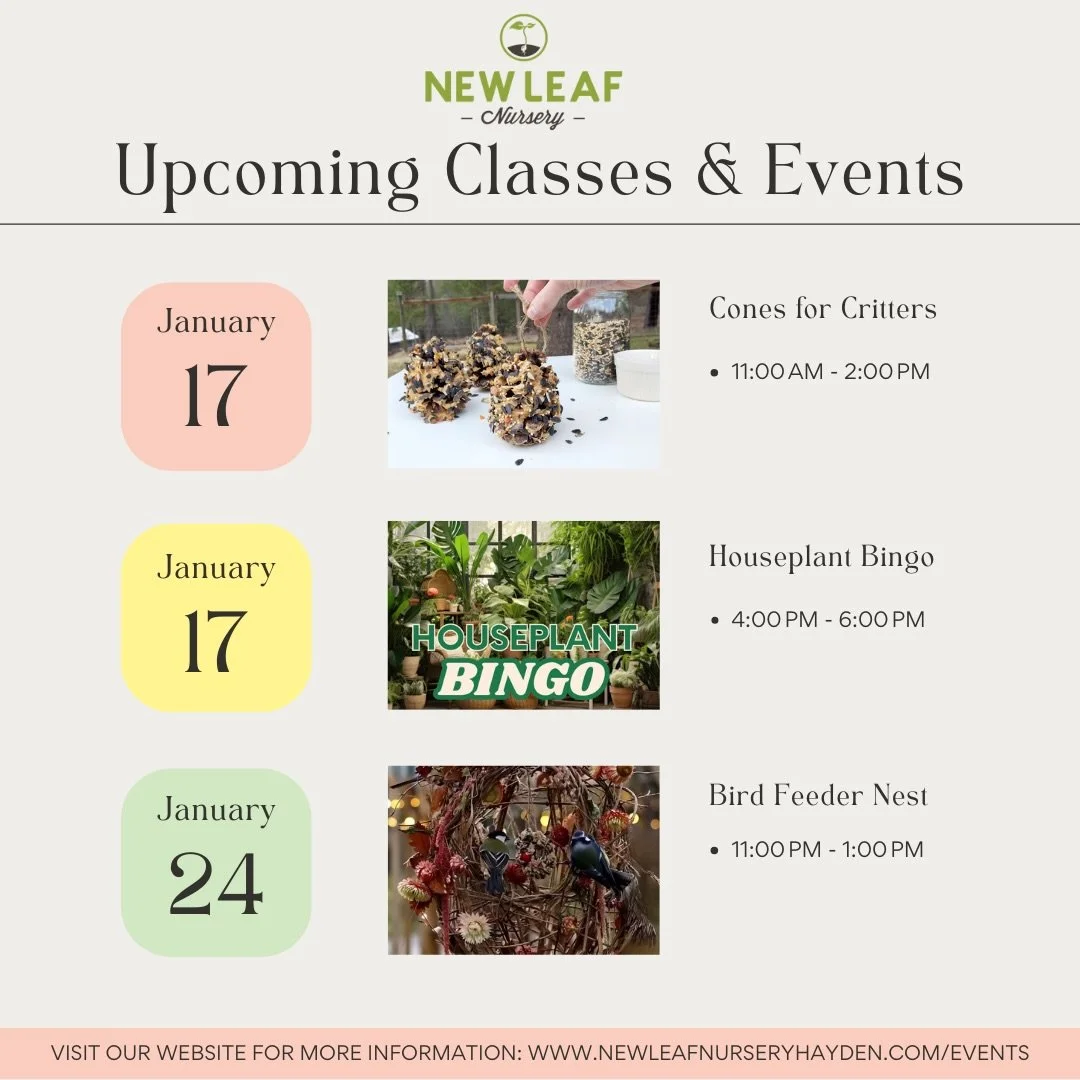 🌱 New Year, New Classes! 🌱 

Join us at New Leaf Nursery this January and February for a series of fun, creative, and educational winter workshops&mdash;happening before we open for the 2026 season in March.

Winter is the perfect time to gather, l