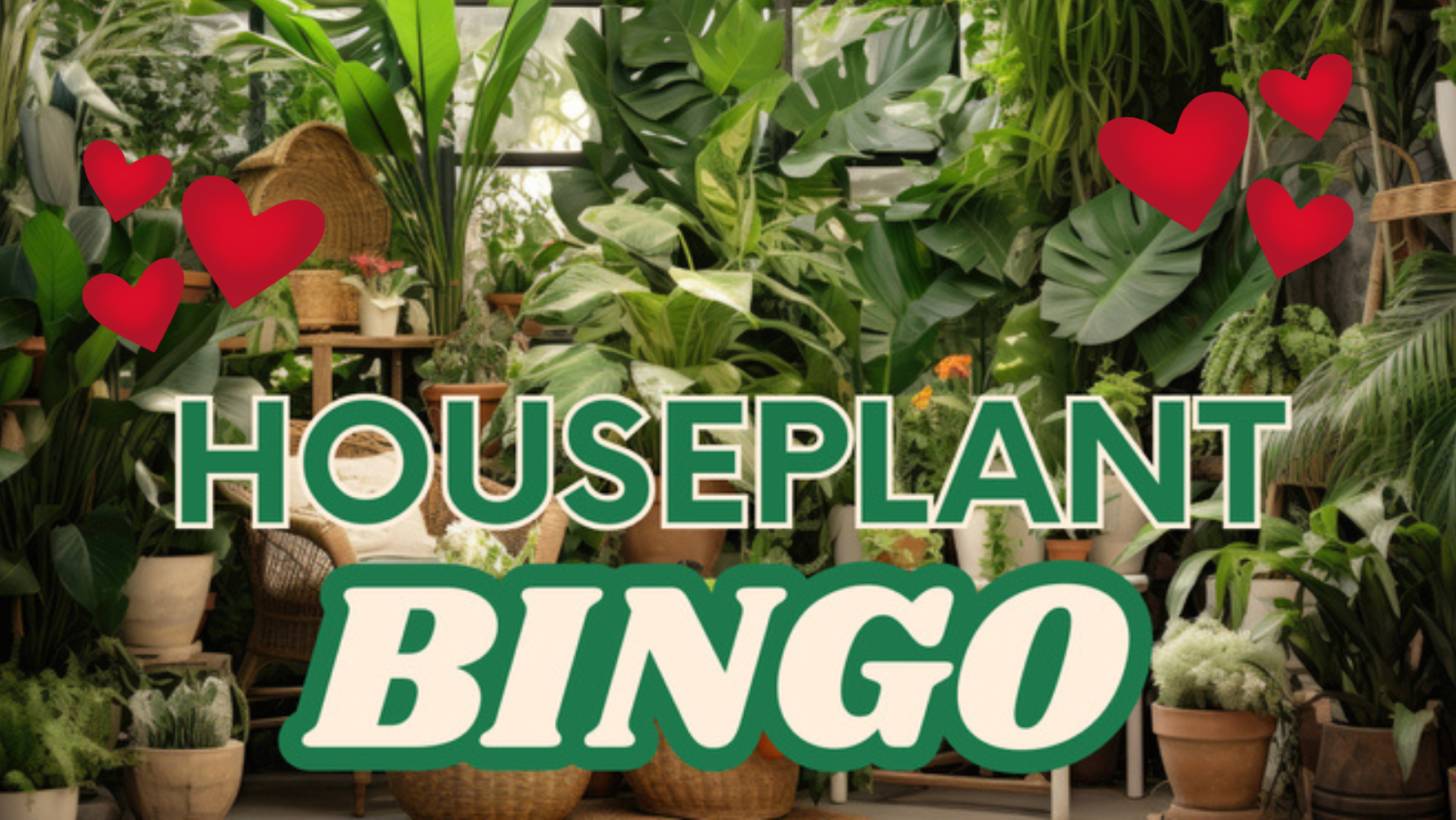 Houseplant Bingo