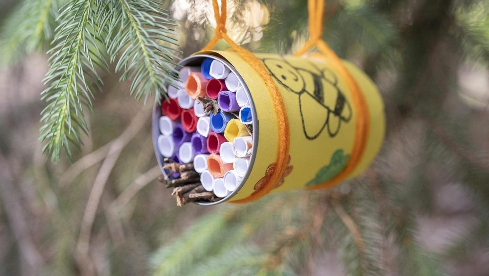 BEE SMART: Build a Wild Bee Hotel (FREE CLASS)