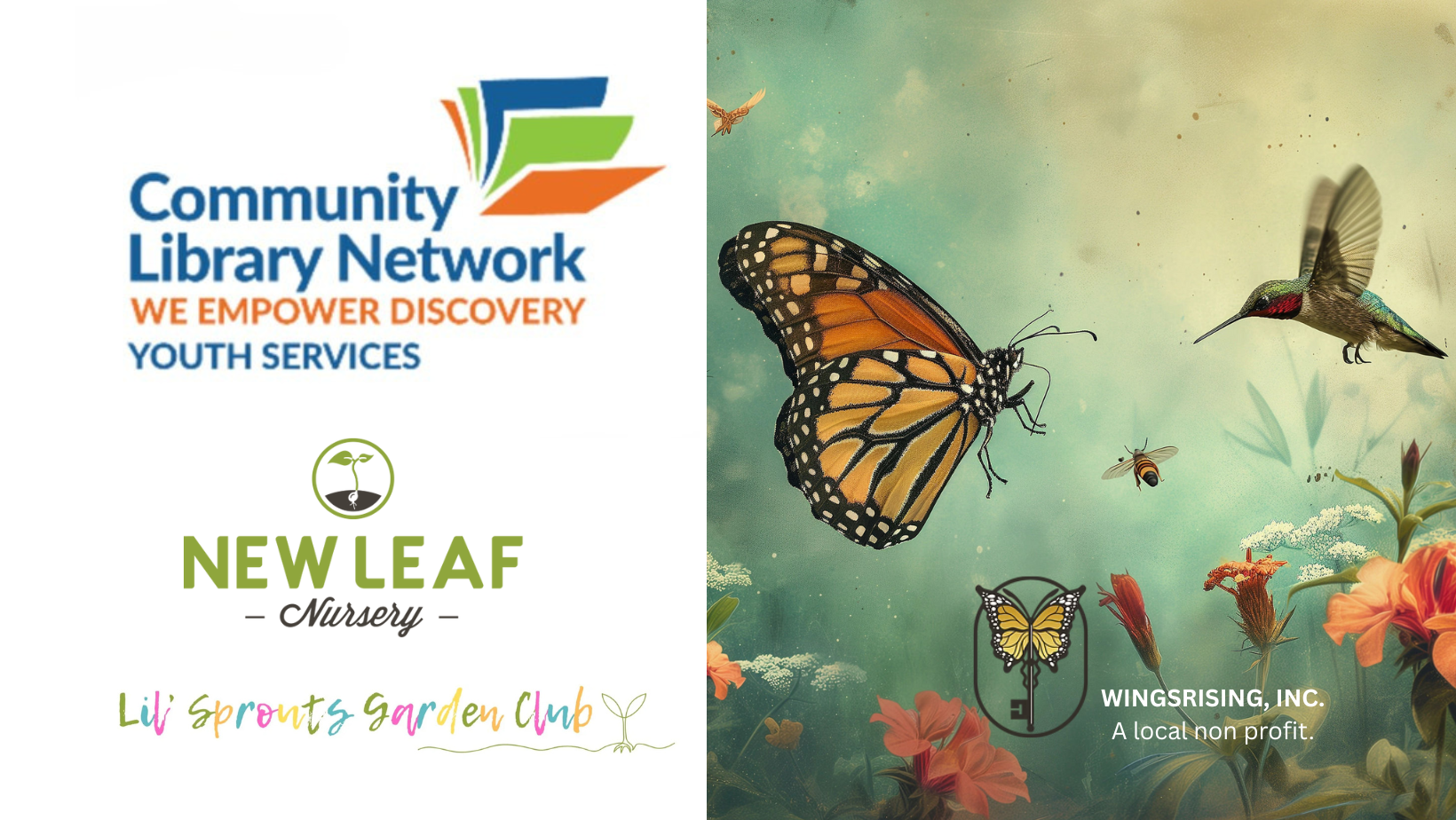 Story Time in the Nursery with Hayden Library: Featuring a Live Butterfly Release! (Free Event)