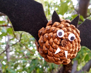 pineconebat-featured-1024x819.webp