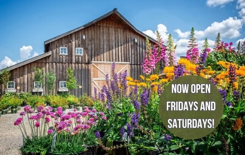 ✨ We Just Couldn&rsquo;t Wait! ✨

Have you heard the news? Starting today, the Garden Center Barn at New Leaf Nursery will be open Fridays &amp; Saturdays from 10AM-4PM through February! 🎉

We&rsquo;re opening early for YOU&mdash;our amazing communi