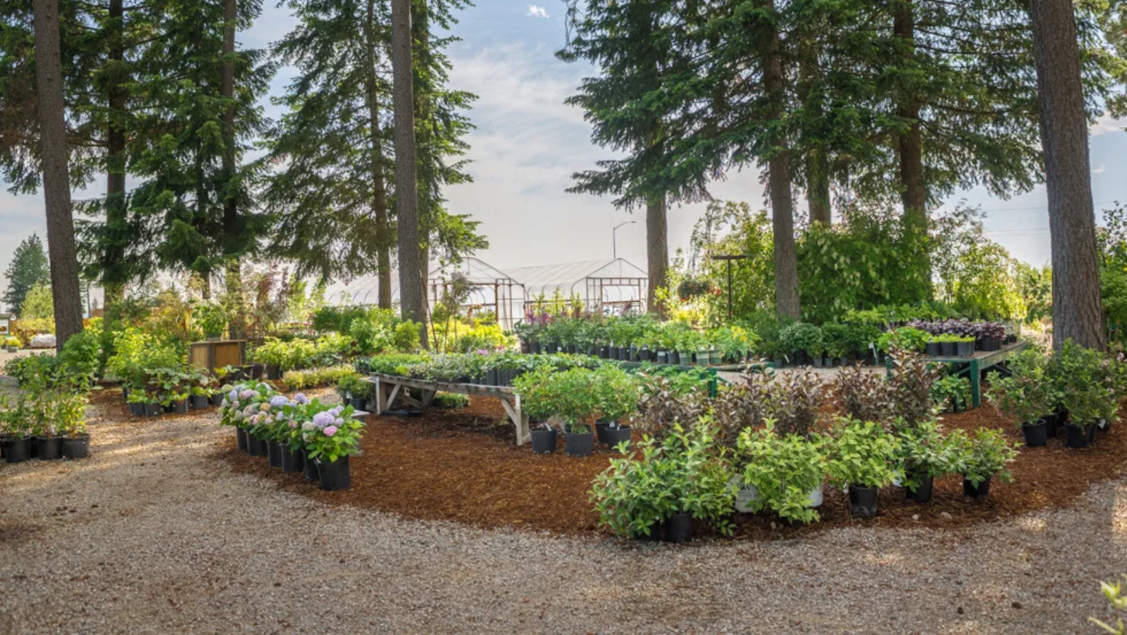 Hayden Chamber ‘After Hours’ at New Leaf