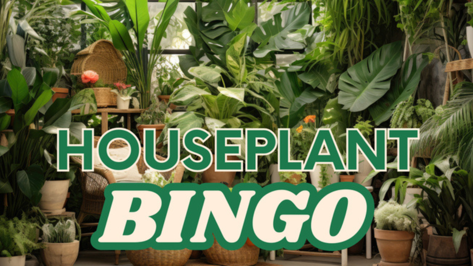 Houseplant Bingo