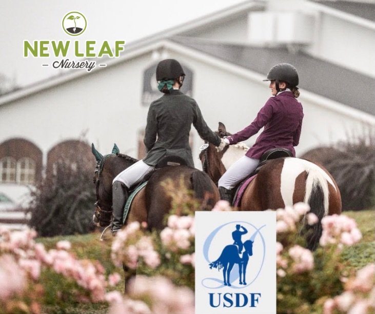 🐣🌷 EXCITING NEWS! 🌷🐣

This year, we&rsquo;re thrilled to partner with the Dressage Girls from 4-H at our much-loved community event&mdash;Our Annual Spring Festival &amp; Easter Egg Hunt!

The 4-H girls will be running the petting zoo, and here&r