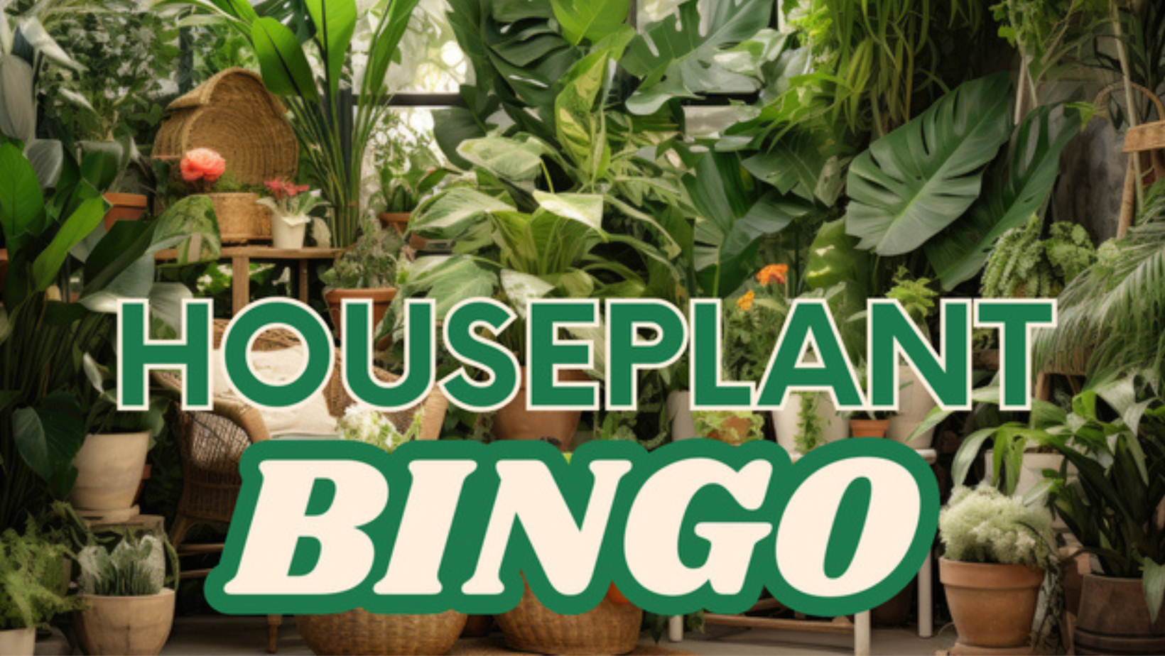 Houseplant Bingo