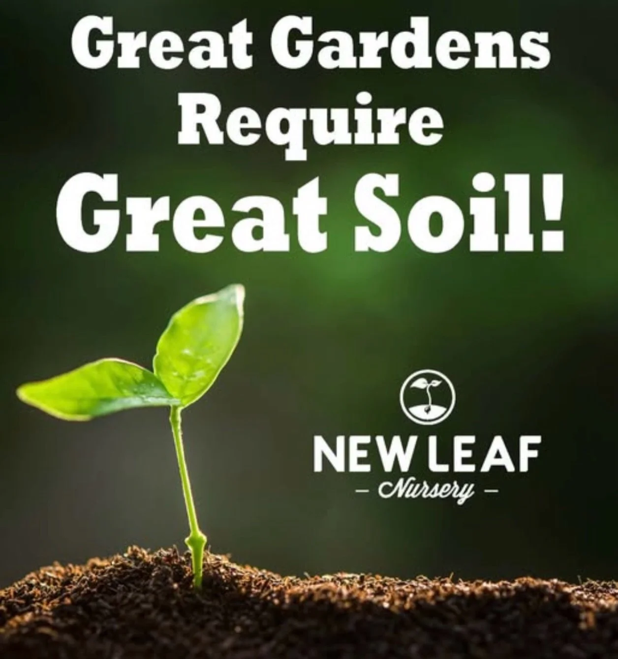 Great Gardens Require Great Soil! 🌱 

Understanding your soil is the KEY to success in the garden. Join New Leaf plant specialist, Jen, as she explores why soil health is essential for creating vibrant, thriving gardens and landscapes.

You&rsquo;ll