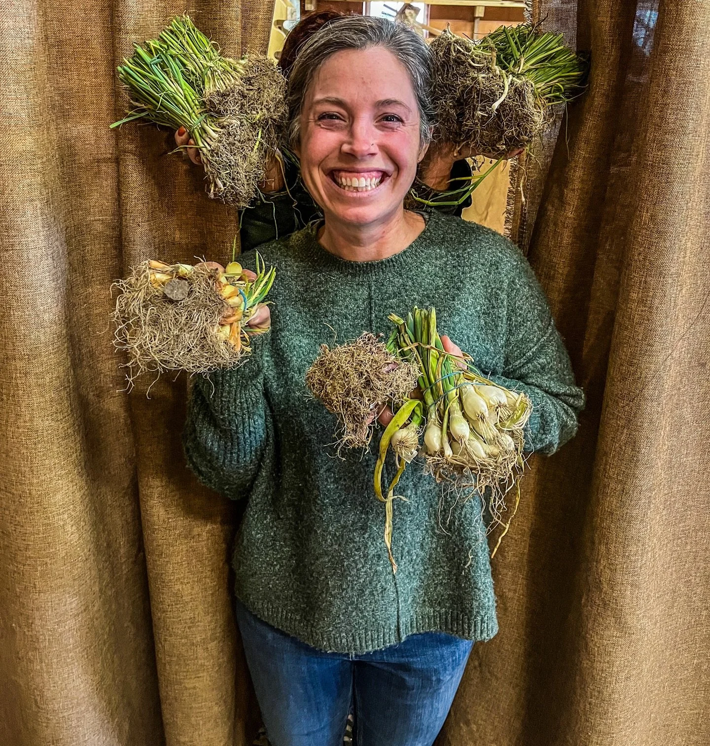 Onion starts have arrived! 🧅🧅🧅

And we&rsquo;ve got some awesome varieties:

🌱 Walla Walla
🌱 Yellow Spanish
🌱 Ringmaster
🌱 Red Zeppelin
🌱 Shallot
🌱 Leeks

We are open Monday-Saturday 9 AM to 5 PM. Come on out and enjoy the start of the seaso