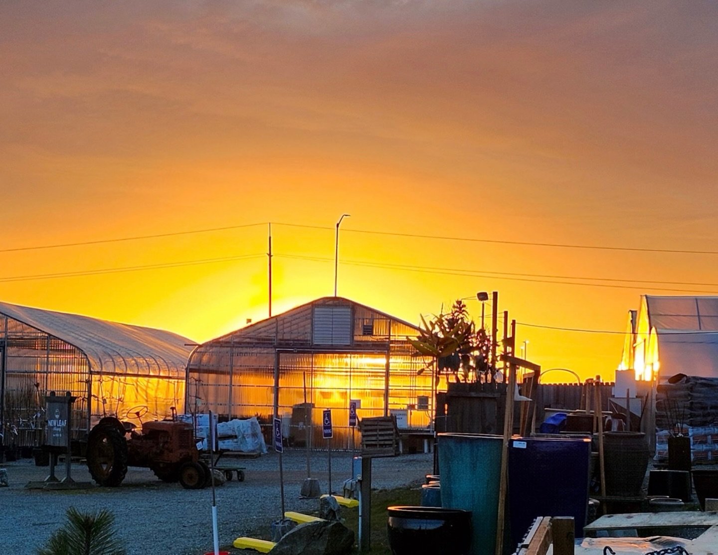 Last night&rsquo;s sunset was the perfect ending to a fantastic opening week at the nursery! 🌅 

We couldn&rsquo;t think of a better way to wrap up and say thank you to everyone who came out this week. Your support means everything! Here&rsquo;s to 