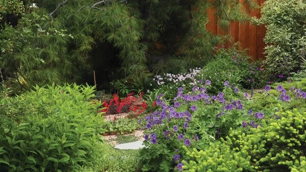 Native & Water Wise Gardening